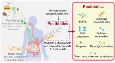 Beneficial insights into postbiotics against colorectal cancer